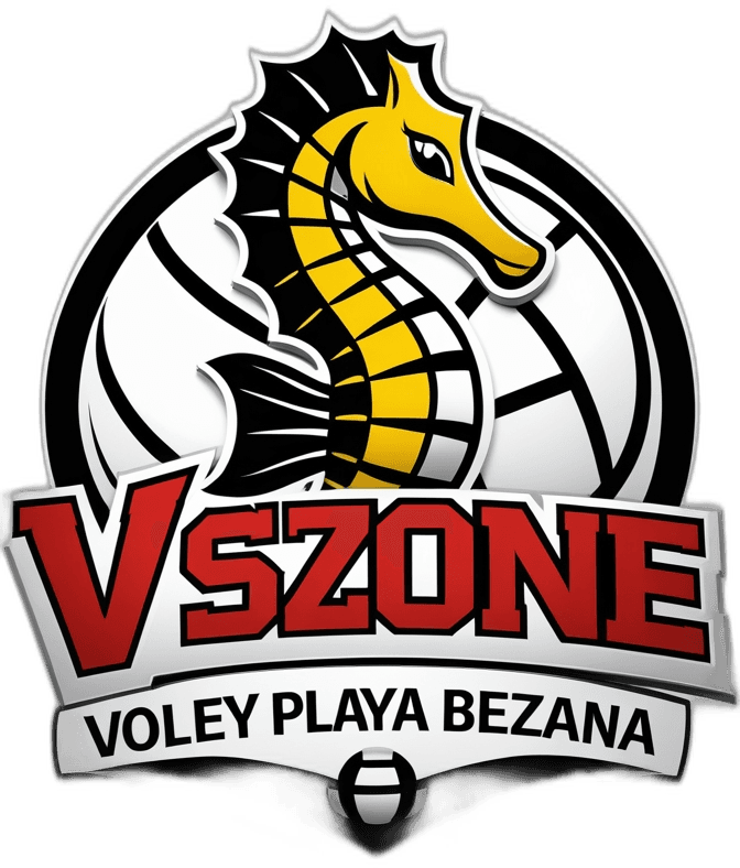 Logo VSZONE